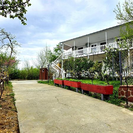 Hilltop Guest House Kutaisi Dış mekan fotoğraf